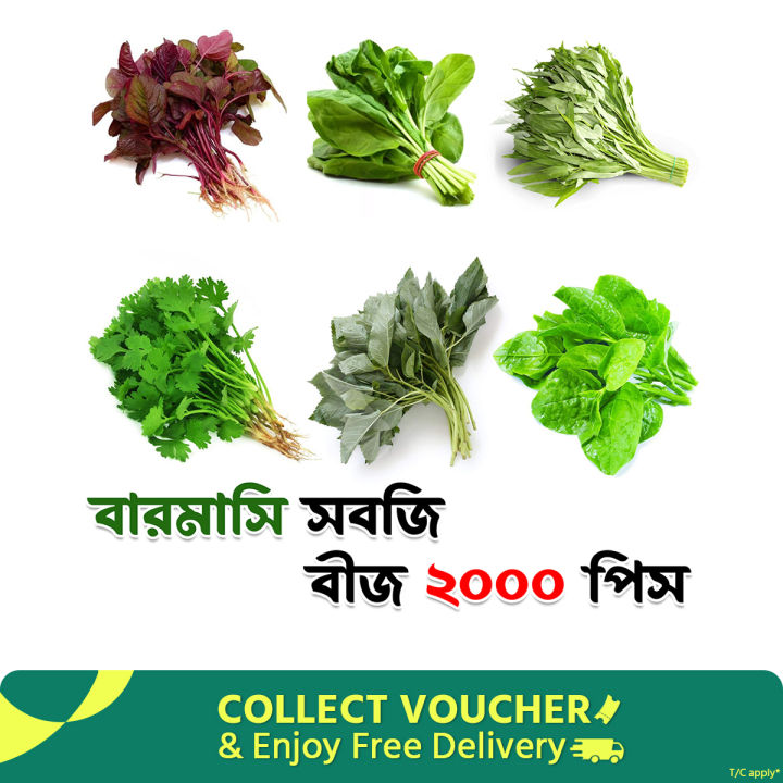 বারমাসি সবজির কম্বো প্যাক বীজ ২০০০ পিস (লালশাক,পালংশাক,পুঁইশাক,ধনিয়াপাতা,কলমিশাক,ডাঁটাশাক)
