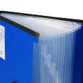 TRANBO Plastic File Folder with 12 Pockets, Handle, Index Tab, A4 Size, (Multicolor). 