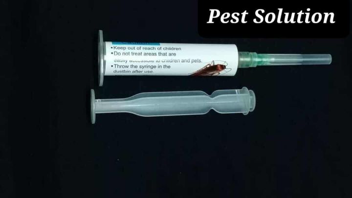 Get%20Out%20Cockroach%20Killing%20Gel%20-%2015gm%20-%20Image%203