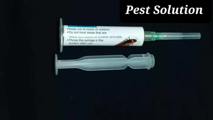 Get%20Out%20Cockroach%20Killing%20Gel%20-%2015gm%20-%20Image%203