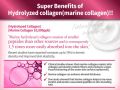 Pax Moly 99% Deep Marine Collagen Soothing Gel-300gm.