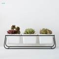 Indoor Plant Pot Creative Container for Desktop Indoor Outdoor Home Decor. 