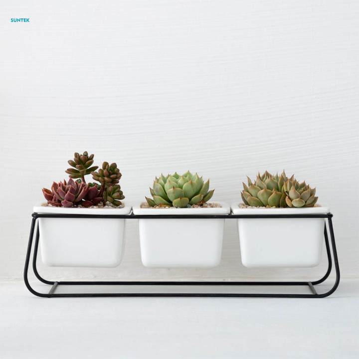 Indoor%20Plant%20Pot%20Creative%20Container%20for%20Desktop%20Indoor%20Outdoor%20Home%20Decor%20-%20Image%203