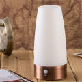 LED Lamp Bedside Lamp Night Light Bedroom Cabinet Wireless Desktop Intelligent. 