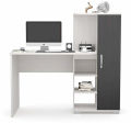 Multipurpose Home Office Work Station Computer Desk/Study Writing Desk with Storage Shelf & Locker Cabinet, Industrial Modern Laptop Table/Modern Reading Table 50/48.