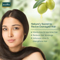 MAYA All Natural Cold-pressed Olive Oil -120 ml. 