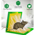 China rat eighteen traps mouse and rat eighteen traps-1 pice - Great to Have.
