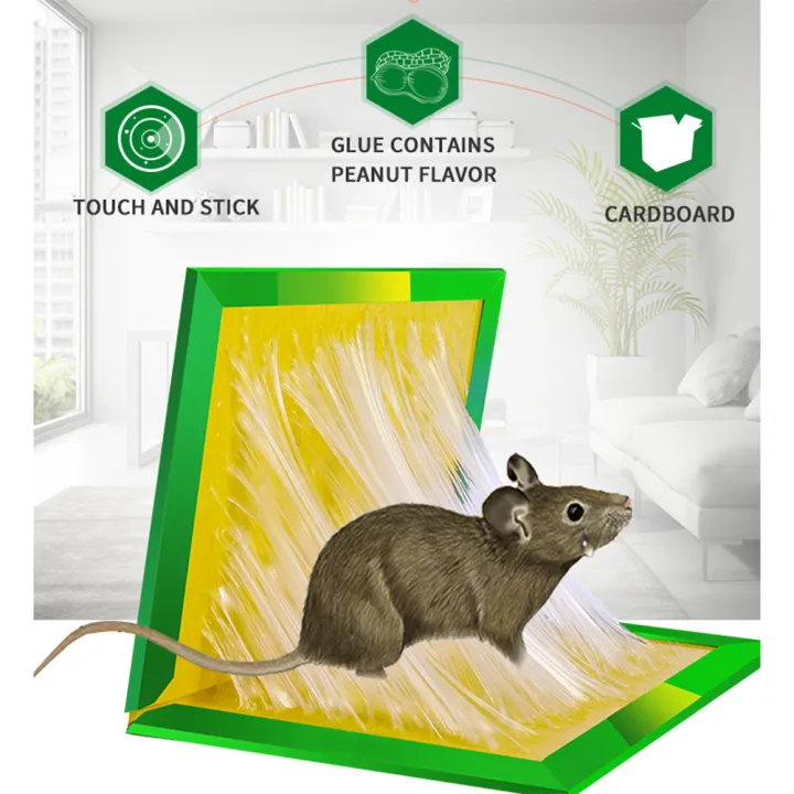 China%20rat%20eighteen%20traps%20mouse%20and%20rat%20eighteen%20traps-1%20pice%20-%20Great%20to%20Have%20-%20Image%207