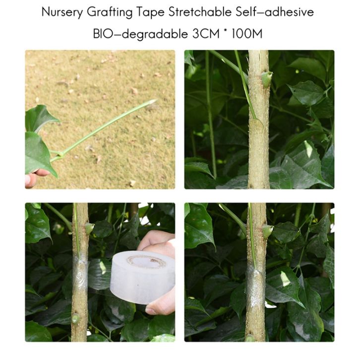 Nursery%20Grafting%20Tape%20Stretchable%20Self-adhesive%20BIO-degradable%20-%20Image%205