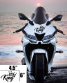 Bike Decal Sticker - King With crown ( Waterproof & Premium quality)/ Bike Sticker Gallery. 