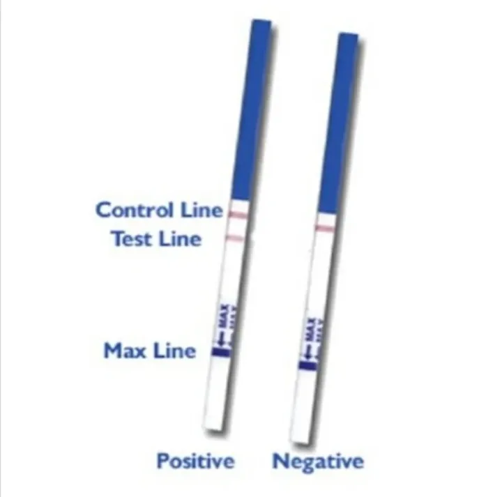 %E3%80%90Lejia%E3%80%9120%20Fertility%20(L%20H)%20Test%20Strips%20Home%20Urine%20Testing%20Paper%20-%20Image%204