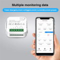 Tuya WiFi Smart Meter Digital Energy Meter Smart Energy Meter 80A Current Transformer Solar PV Production Consumption Monitor.