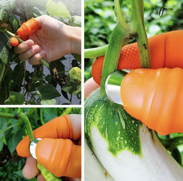 Silicone%20Vegetable%20And%20Fruits%20Thumb%20Cutter%20Finger%20cutter%205%20in%201%20-%20Image%208