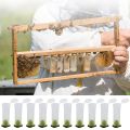 1 Set Bees Tools Cages King Queen Bee Beekeeping Catcher Rearing Cupkit System Box Cell Cups Cage Nicot Apicultura Complete Kit. 