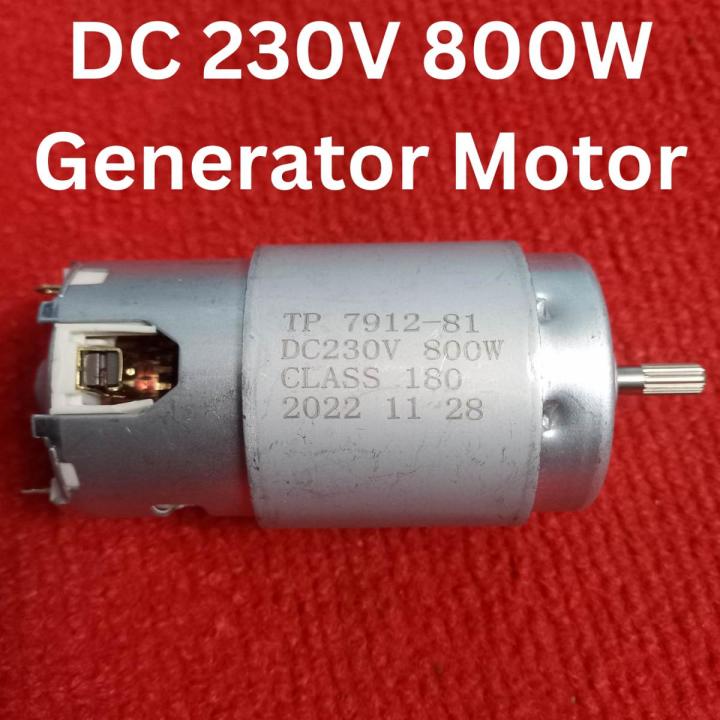 800W Generator Motor TP 7912-81 800W DC 220V 230V Class 180 Dynamo Generator Motor With D25XB80 25A Bridge Rectifier 220V DC Generator Motor 800W For Mini Fans LED Lights Use 775 Motor