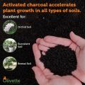 Activated Carbon Powder 1kg for Gardening and multipurpose of Activated Carbon,. 