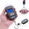 Portable Electronic Scale Digital Weight Machine 50kg. 