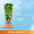 Lotus Safe Sun 3 in 1 Matte Look Daily Sunscreen SPF 40 PA+++ - 50GM. 