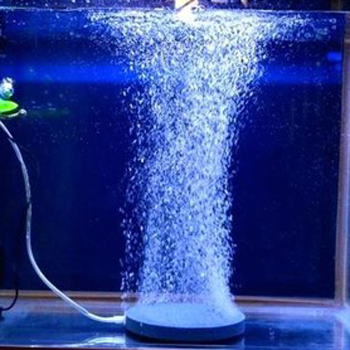 BS015%2013cm%20Air%20Bubble%20Stone%20Disk%20Shape%20Aerator%20Pond%20Pump%20Air%20Stone%20Bubble%20Disk%20aquarium%20Air%20Pump%20Hydroponic%20Oxygen%20Plate%20for%20Aquarium%20Fish%20Tank%20-%20Image%207