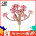 Artificial Succulents Wide Application Photography Props Fake.