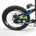 20'' Phoenix Double Disc Brake With Fat Tyte Cycle - Enjoy Smooth And Reliable Braking Performance With The 20'' Phoenix Disc Brake Cycle Cash On Delivery Available.