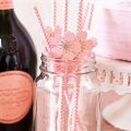 Biodegradable Paper Straws, 100 Pink for Party Supplies with Lewis Bag and Ice Mallet,Bartender Kit Ice Crusher. 