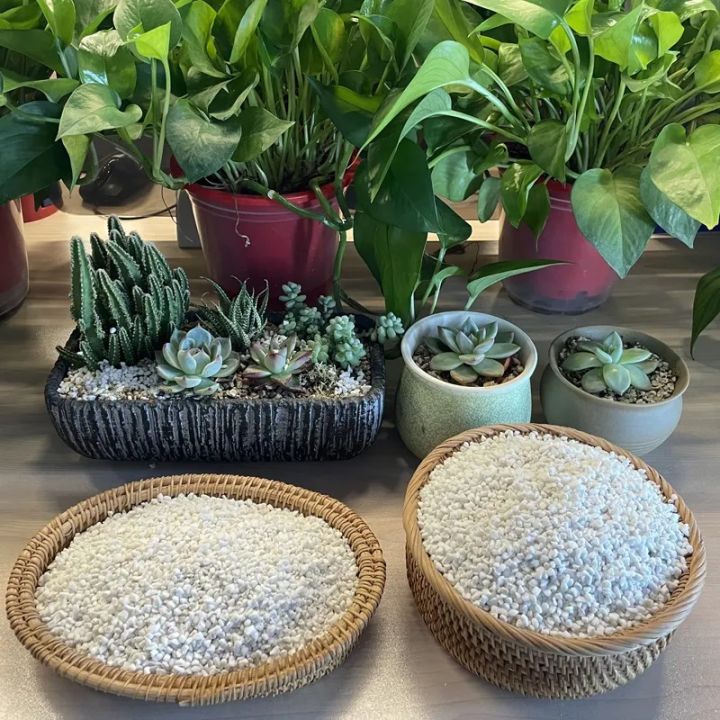 Repack%20Perlite-250%20gm.%20small%20particle,%20mihi%20perlite%20for-succulent,%20Orchids,%20Cactus,%20Aquarium%20&%20Potted%20Plants.%20-%20Image%205