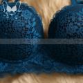 Soft Comfortable Net Pushup Foam Bra for Hot & Sexy Girl/Women.