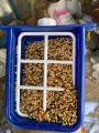 Premium Bird Food Pot – Durable & Easy to Clean Feeder (1pcs) | Bangladesh. 