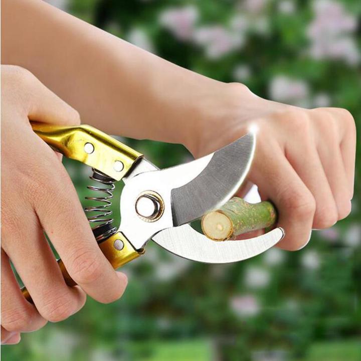 Professional 8 Inch Garden Scissors Fruit Tree Pruning Shears Bonsai Pruners Grafting Cutter Garden Tools
