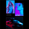 2500K-9000K LED RGB Camera Light Color Output Video Light Kit Dimmable Panel Light Rechargeable LED Light Black Easy Install Easy to Use. 