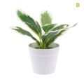 Mini Desktop Small Potted Artificial Plant Bonsai Fake Flower Desk Potted Decor Mzea. 
