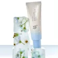 Beauty of Joseon 50ml Relief Sun Aqua-Fresh : Rice + B5 SPF50+ PA++++ | Korea.
