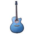 Indian Semi-Electric Signature Guitar Blue. 