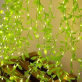 Battery Operated Vine Leaf Fairy String Light – Artificial Mehidi Pata LED Garland Light for Indoor Decoration – Wedding Party Bedroom Wall Hanging Plants Decorative Light.