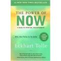 The Power of Now: A Guide to Spiritual Enlightenment. 