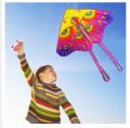 Best Quality 3D Flying Rainbow Kite Waterproof Polyester Funny Kids Toy Gift Outdoor Playing Ghuri - Big size. 
