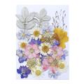 1 Bag Pressed Mixed Organics Natural Dried Flowers. 