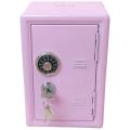 Kids Money Banks, Mini Money Box Gift Safe Case Password with Key Metal Money Box Storage Bedroom Locker Home Ornament. 