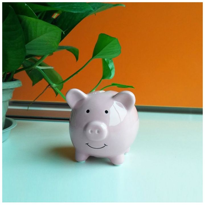 Individual%20Ceramic%20Keepsake%20Piggy%20Bank,%20Pink%20-%20Image%203