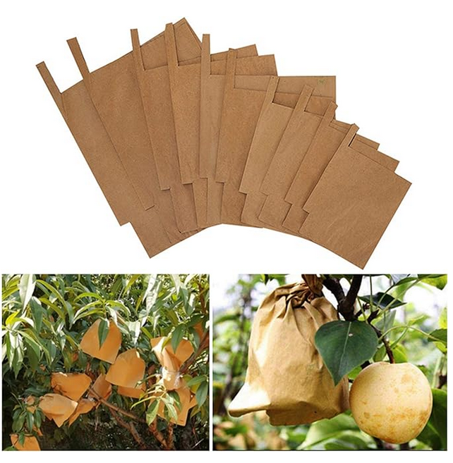 Waterproof%20Mango%20Paper%20Bag%2010%20Pieces%20-%20Image%204