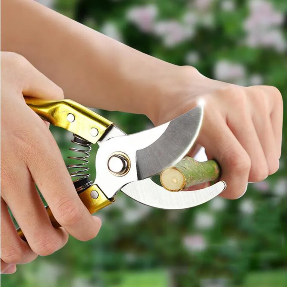 Professional 8 Inch Garden Scissors Fruit Tree Pruning Shears Bonsai Pruners Grafting Cutter Garden Tools Daraz .bd