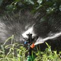 1 (one) Piece 1/2 inch Size 360 Degree Full Circle Plastic Sprinkler for Farm, Lawn, Garden Sprinkler Irrigation. 