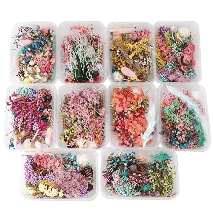 %E3%80%90In-Demand%20Item%E3%80%91%20Dried%20Flowers%20Natural%20Floral%20Art%20Craft%20Scrapbooking%20Resin%20Jewelry%20Making%20mold%20Cherry%20Super%20Store%20-%20Image%202