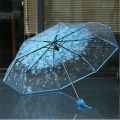 Transparent Clear Umbrella 3 Fold Umbrella Pink, Green, Blue, And Purple Flowers, Transparent And Sunny Umbrellas. 