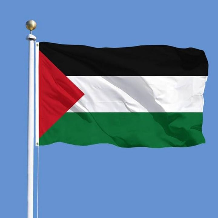 Palestine%20National%20Flag%205ft%20x%203ft%20-%20Image%204