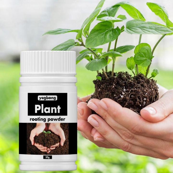 1%20Bottle%20Useful%20Flower%20Fertilizer%20Compact%20Rooting%20Powder%20No%20Odor%20Reliable%20Strong%20Power%20Precisely%20Flower%20Fertilizer%20-%20Image%203