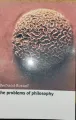 The Problems of Philosophy By Bertrand Russell. 