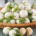Thai All Season White Eggplant Seeds (Intake Imported Packet seeds) - 30pcs.