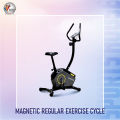 Magnetic Regular Exercise Cycle.